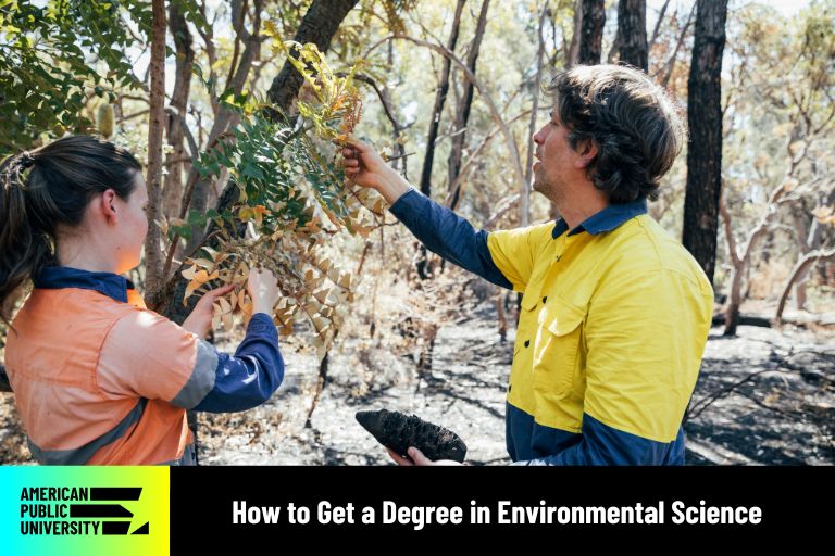 environmental science professionals looking at tree