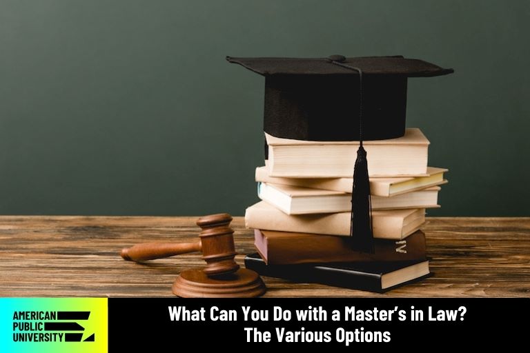 what to do after a phd in law