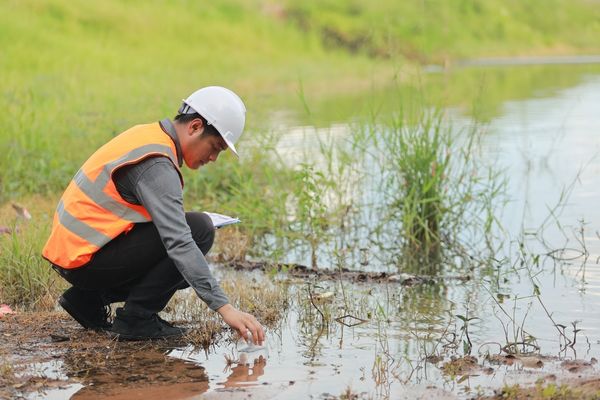 environmental science professional