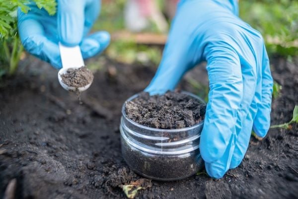 soil science in glass jar