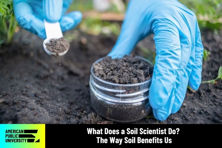 glass jar filled with soil