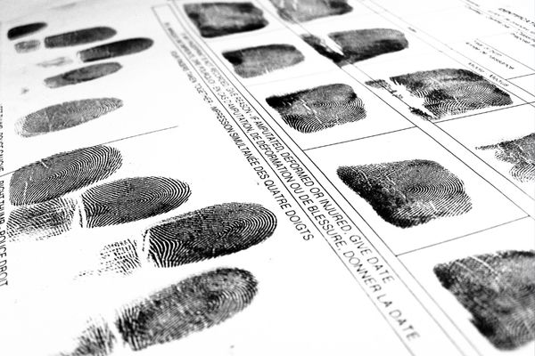 criminology finger prints